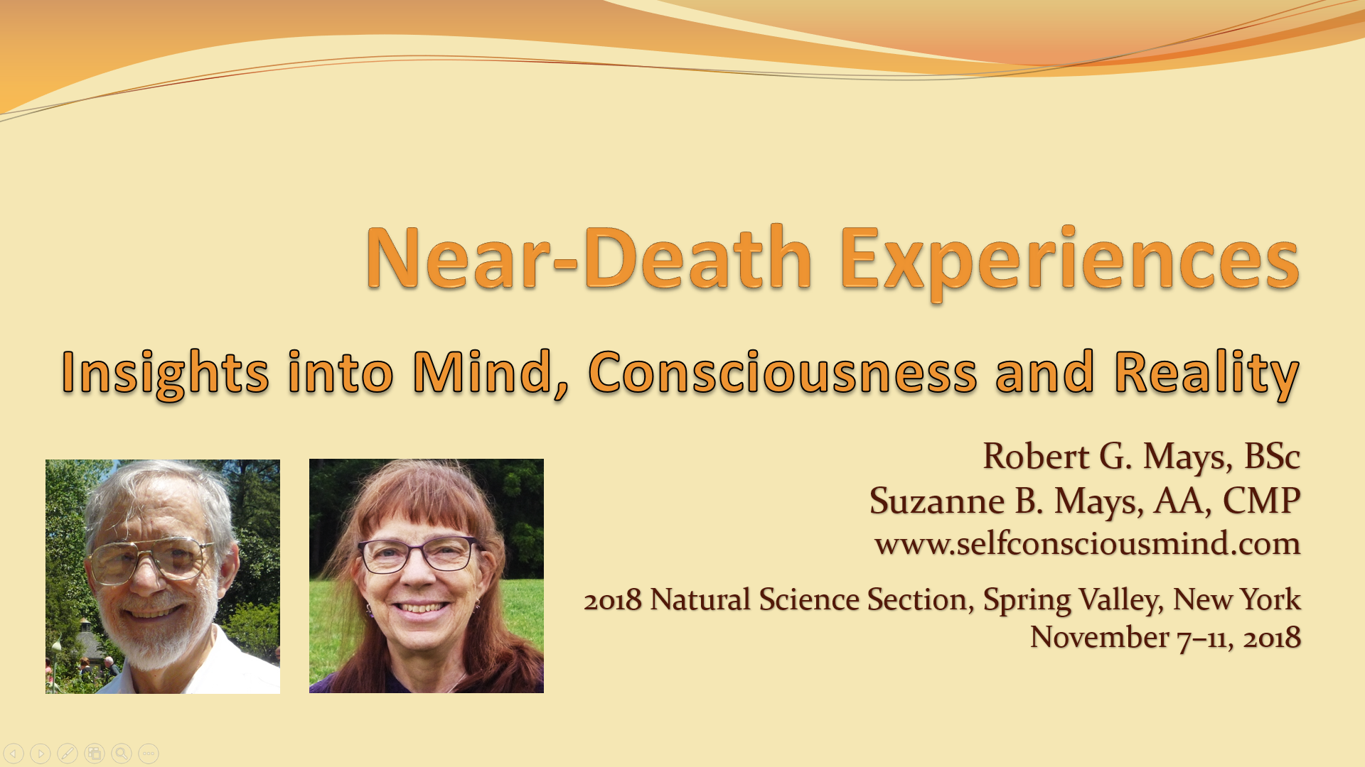 NDEs & the
                              Neural Correlates of Consciousness
